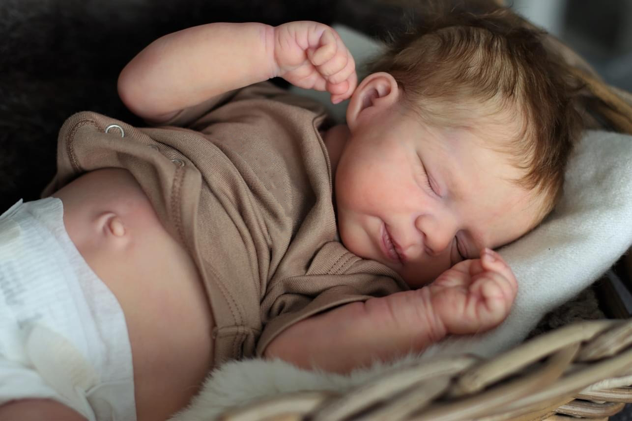 NPK 48CM Realistic Baby Pascal - Baby Products For Skin 评论和价格